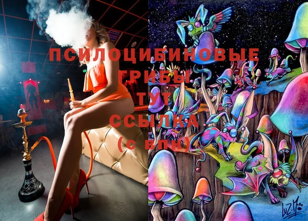 MDMA Бородино