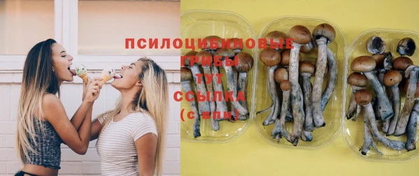 MDMA Бородино
