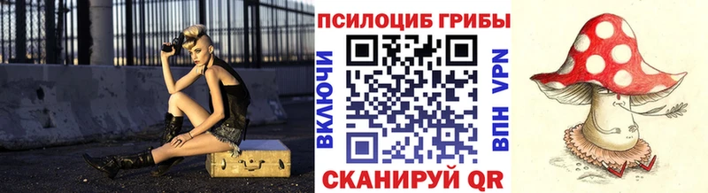 Купить закладки  Лихославль  Псилоцибиновые грибы Cubensis 